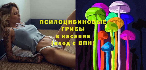 кокс Абаза