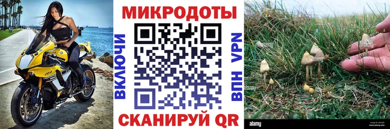 Галлюциногенные грибы Magic Shrooms  Шарья 